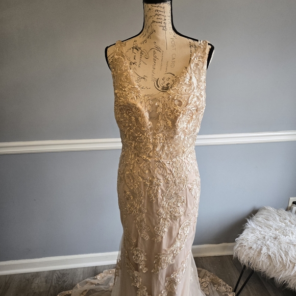 Elegant Lace Gown with Train - Picture 4 of 7